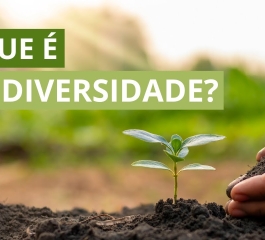 O que é biodiversidade?