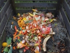 Learn to reuse organic waste from your home with compost